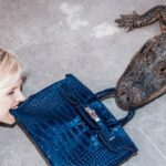 hermes_birkin.jpg.crop_display.jpg