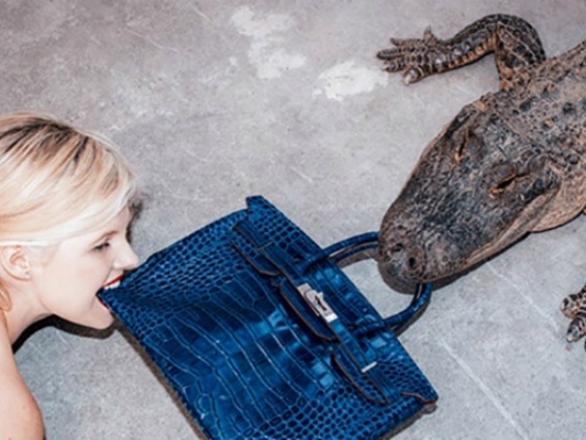 hermes_birkin.jpg.crop_display.jpg